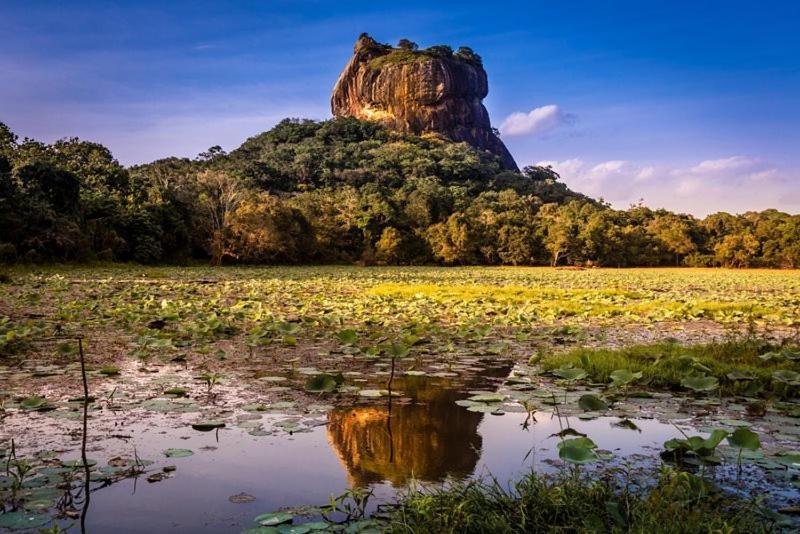 Thilina Homestay Sigiriya Exterior photo